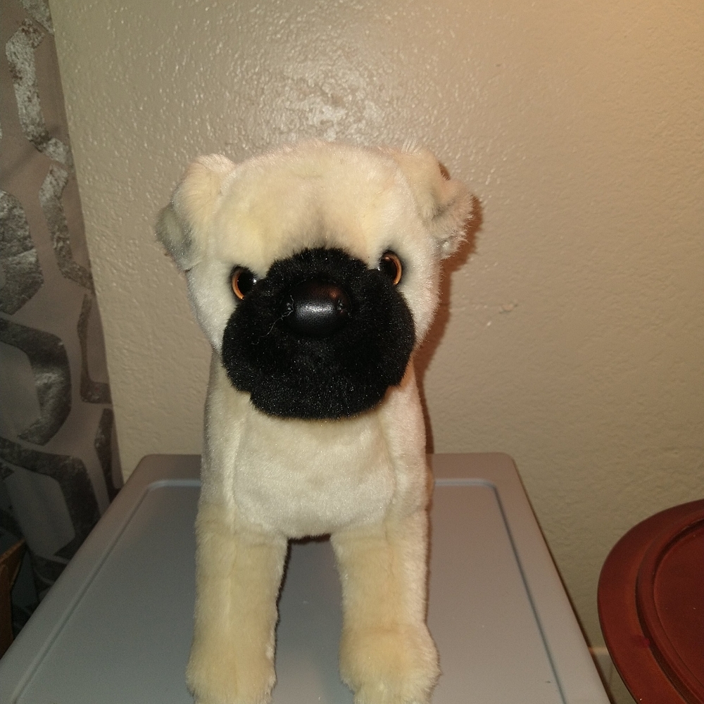 Douglas the Pug